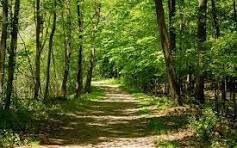 Wohlfühltag im Juli